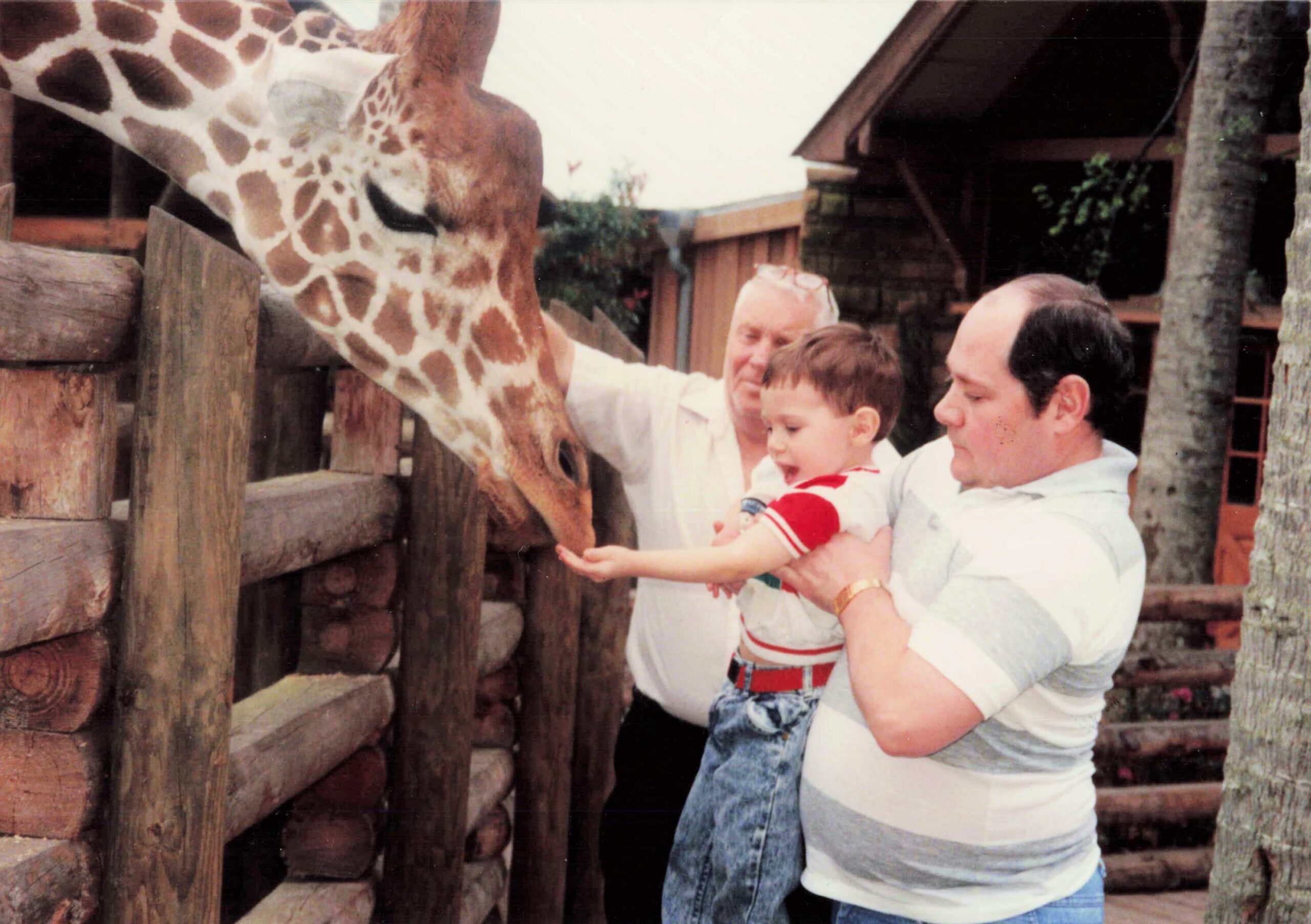 Father and grandfather hold a toddler as a giraffe leans over a wooden fence at a zoo.