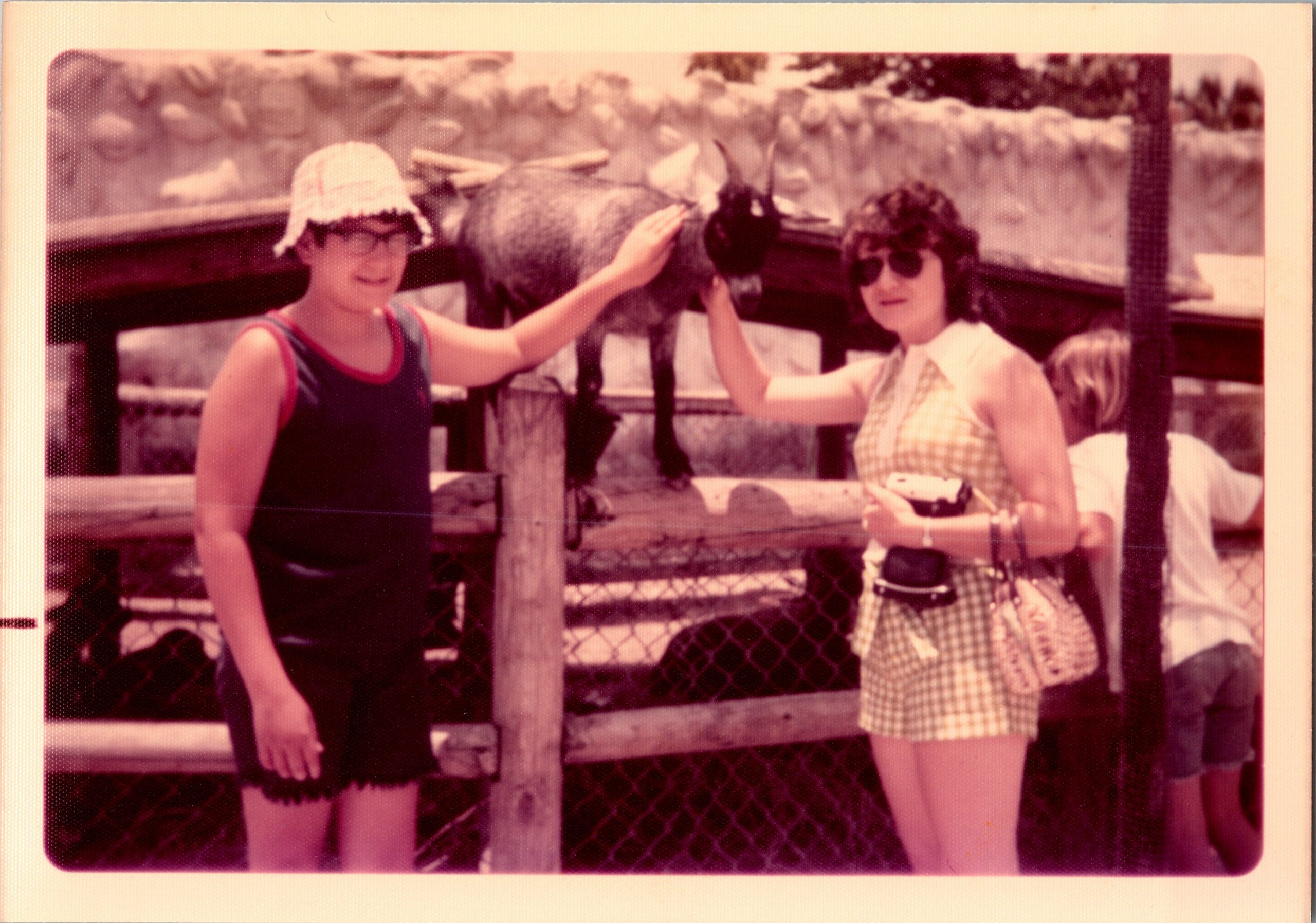 Two women by a wooden fence feeding a small donkey; left wearing a sunhat, tank top, and shorts, right in sunglasses and a gingham dress.
