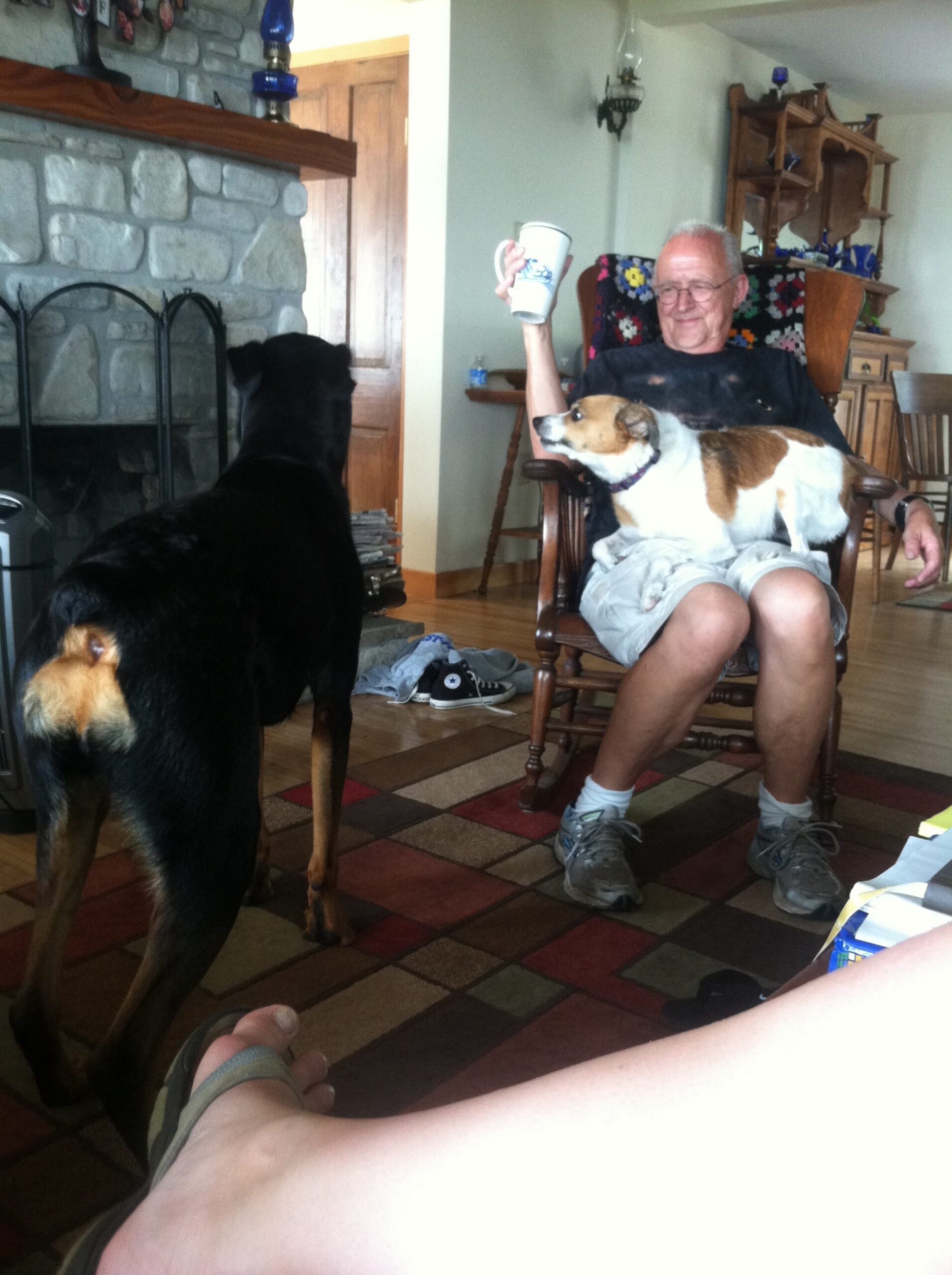 Older man in a wooden chair indoors raises a mug in his right hand while a small brown-and-white dog sits on his lap and a large black dog stands nearby; a stone fireplace and wooden shelves are in the background.