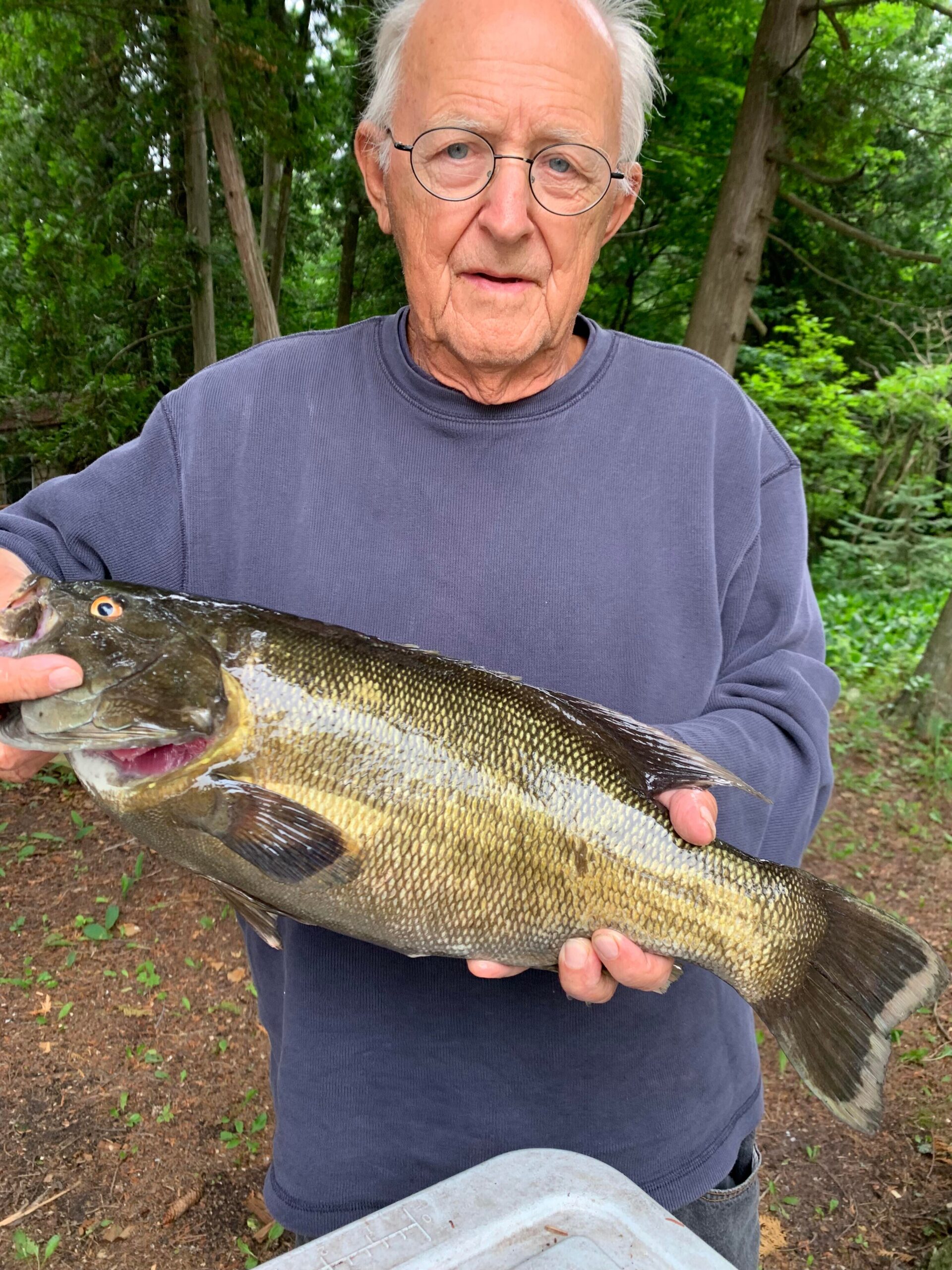 Older man with round glasses holding a large fish outdoors, body in a blue sweatshirt, forest background