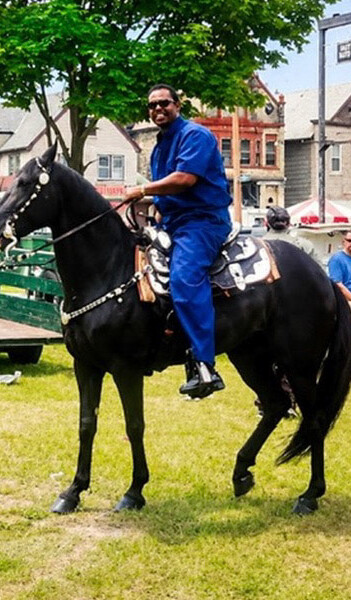 Man in a blue uniform riding a black horse in a grassy park, with saddle gear and green trees in the background.