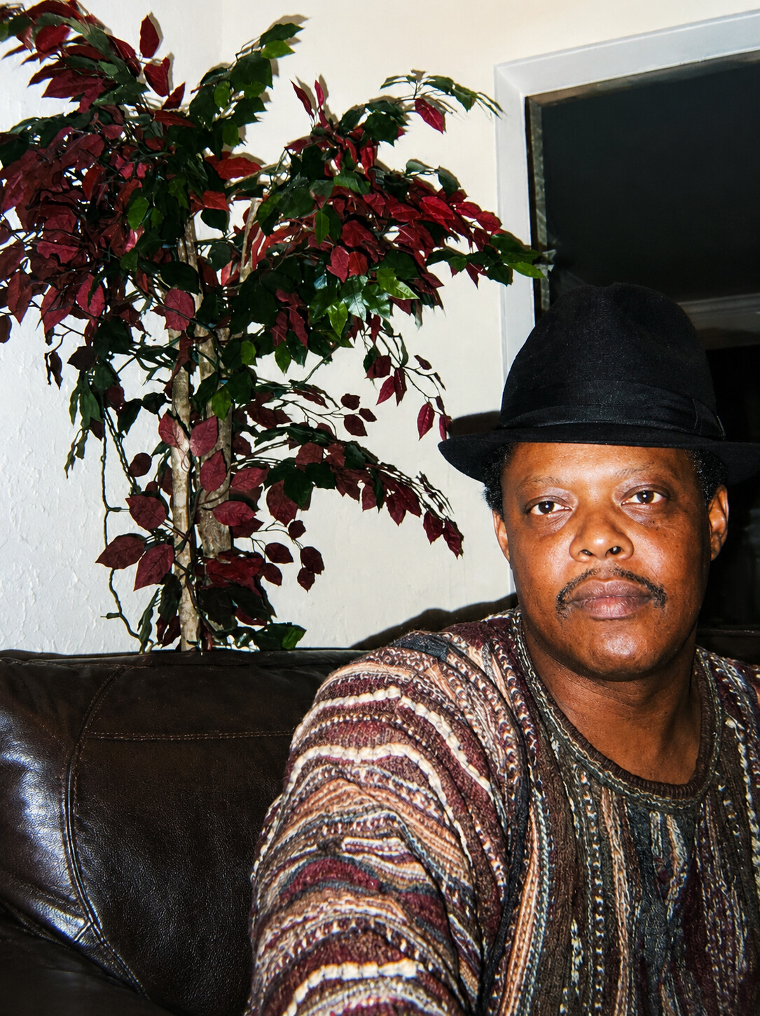 Man wearing a black fedora and a patterned sweater sits on a dark leather couch with a leafy potted plant behind him.