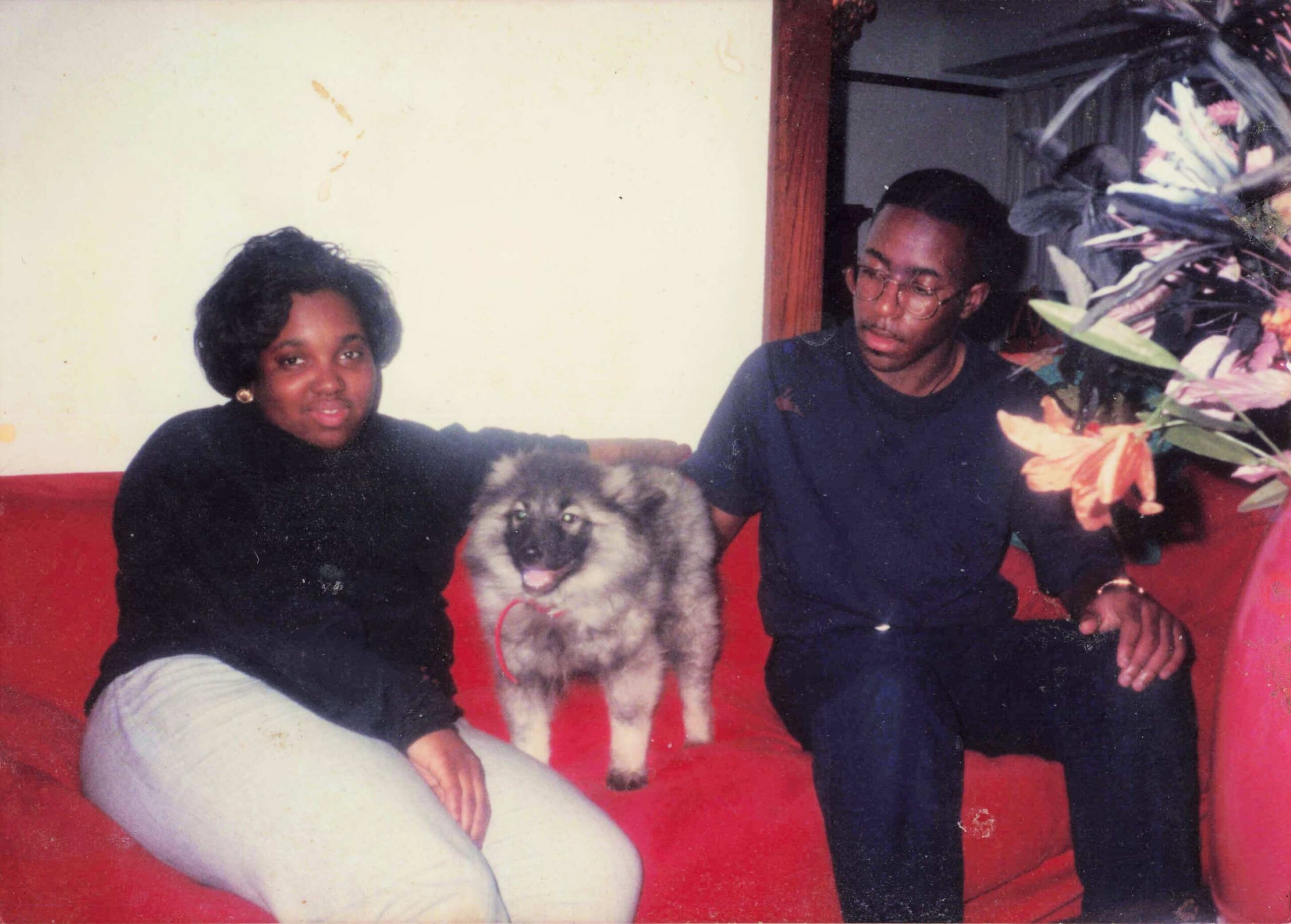 Woman and man sit on a red couch with a fluffy dog between them indoors, near a leafy plant on the right