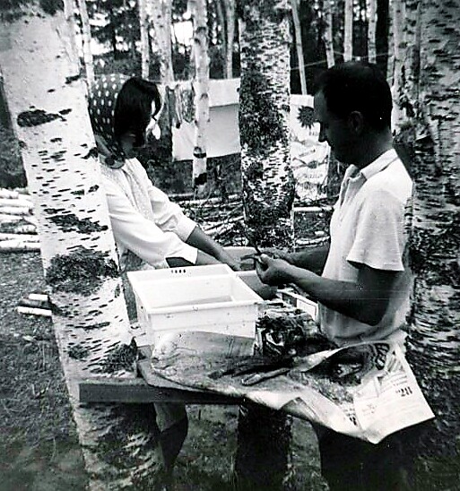 Two people stand among birch trees, handling fish over a white cooler placed on a wooden surface in a forested area.