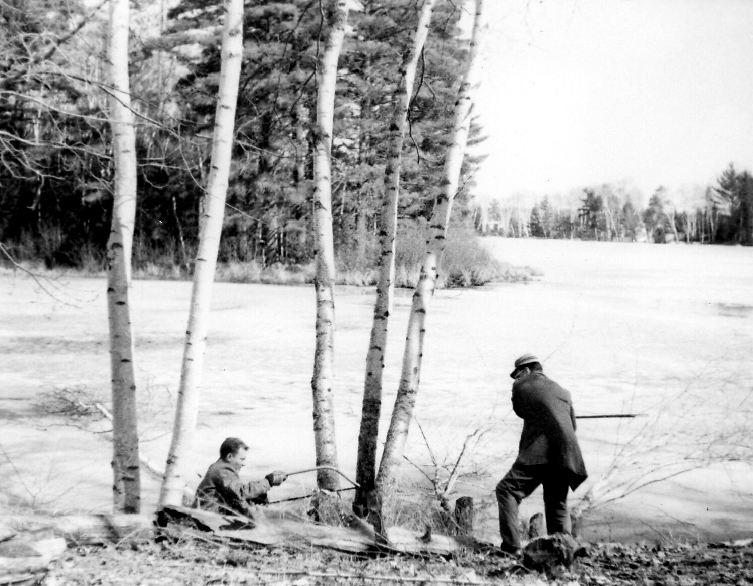 Two men fishing by a lakeshore among birch trees; one seated with a pole, the other standing with a hat, casting lines into the water.