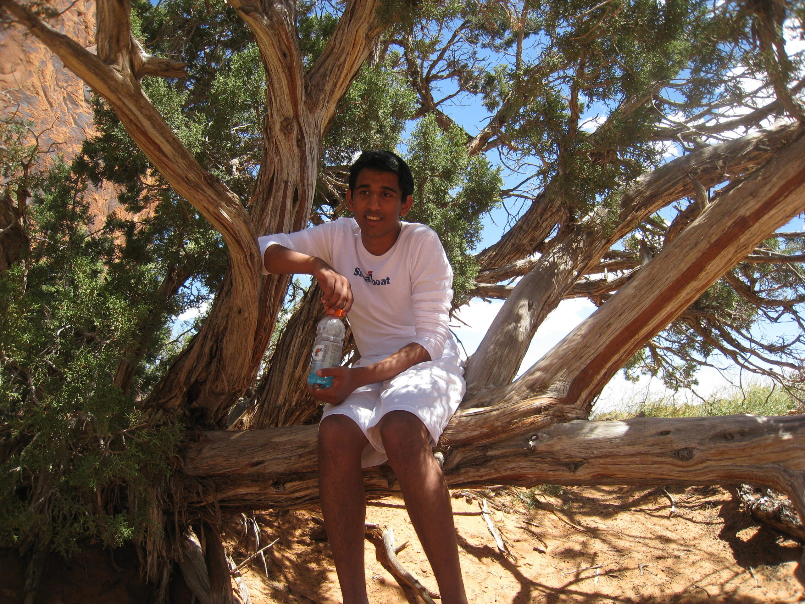 Young man in a white shirt sits on a large tree branch outdoors, holding a water bottle, with blue sky.