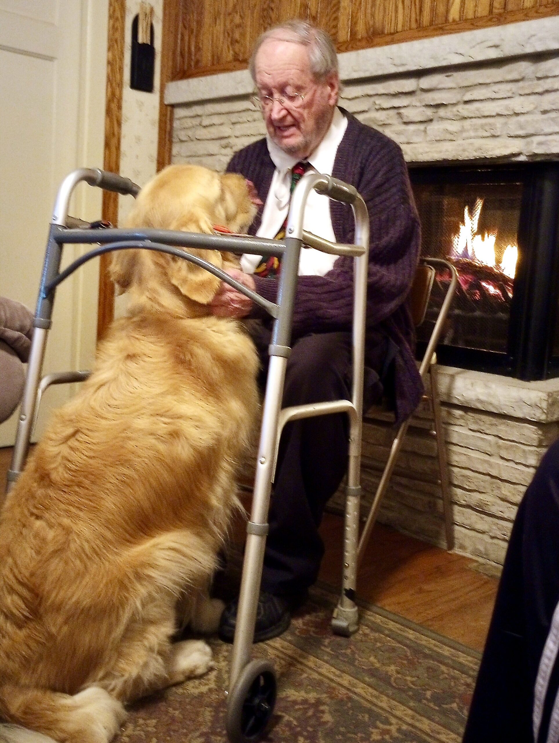 Elderly man with glasses sits by a lit fireplace, using a walker, while a golden retriever stands nearby.