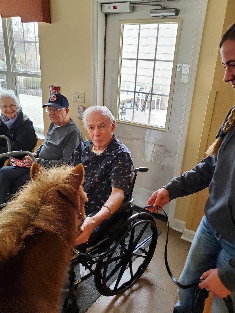 Senior man in a wheelchair reaching to pet a horse visiting a care home, with other residents nearby.
