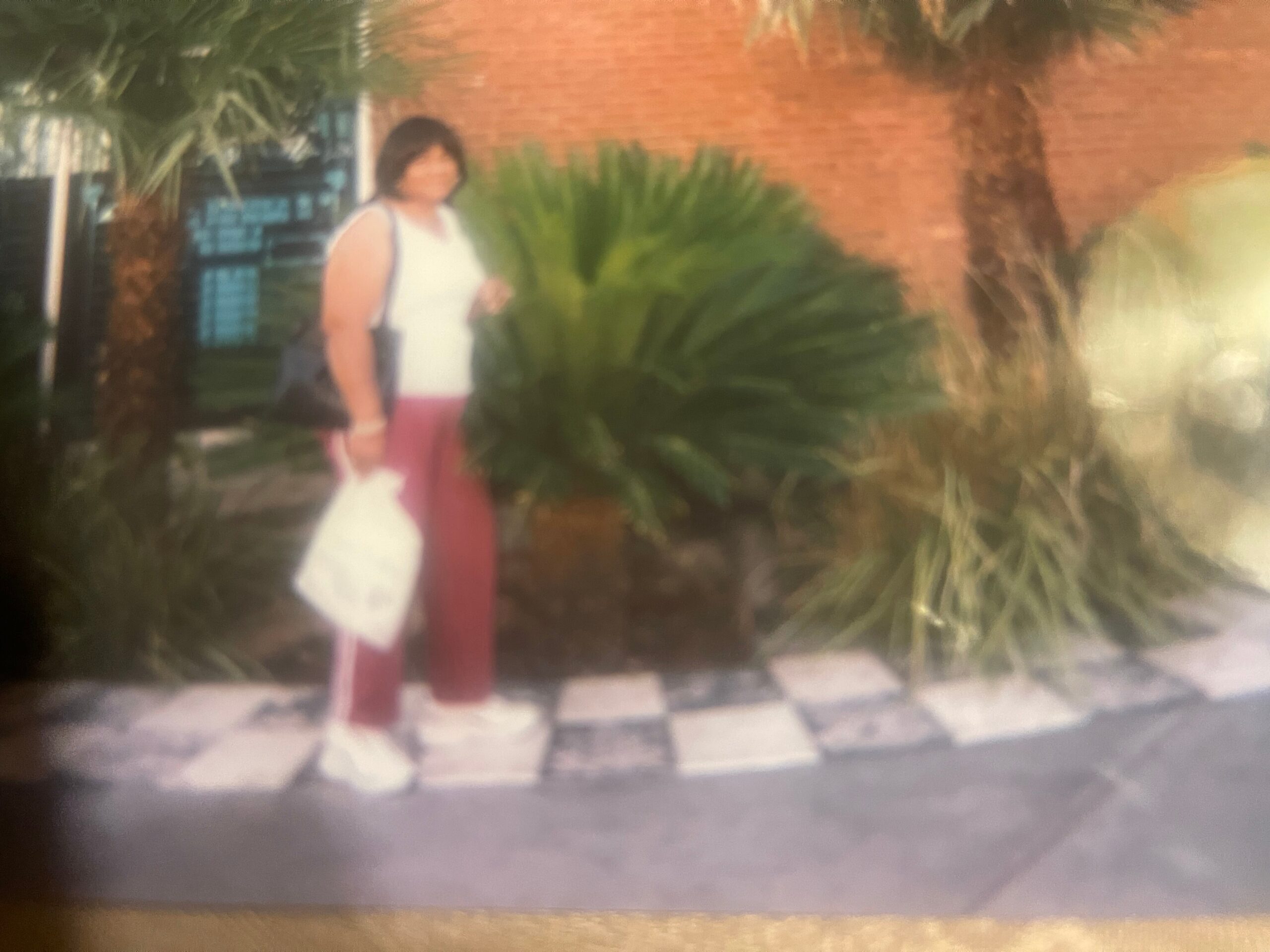 Blurry outdoor photo of a person standing beside lush plants in front of a brick wall, with a checkered floor nearby.