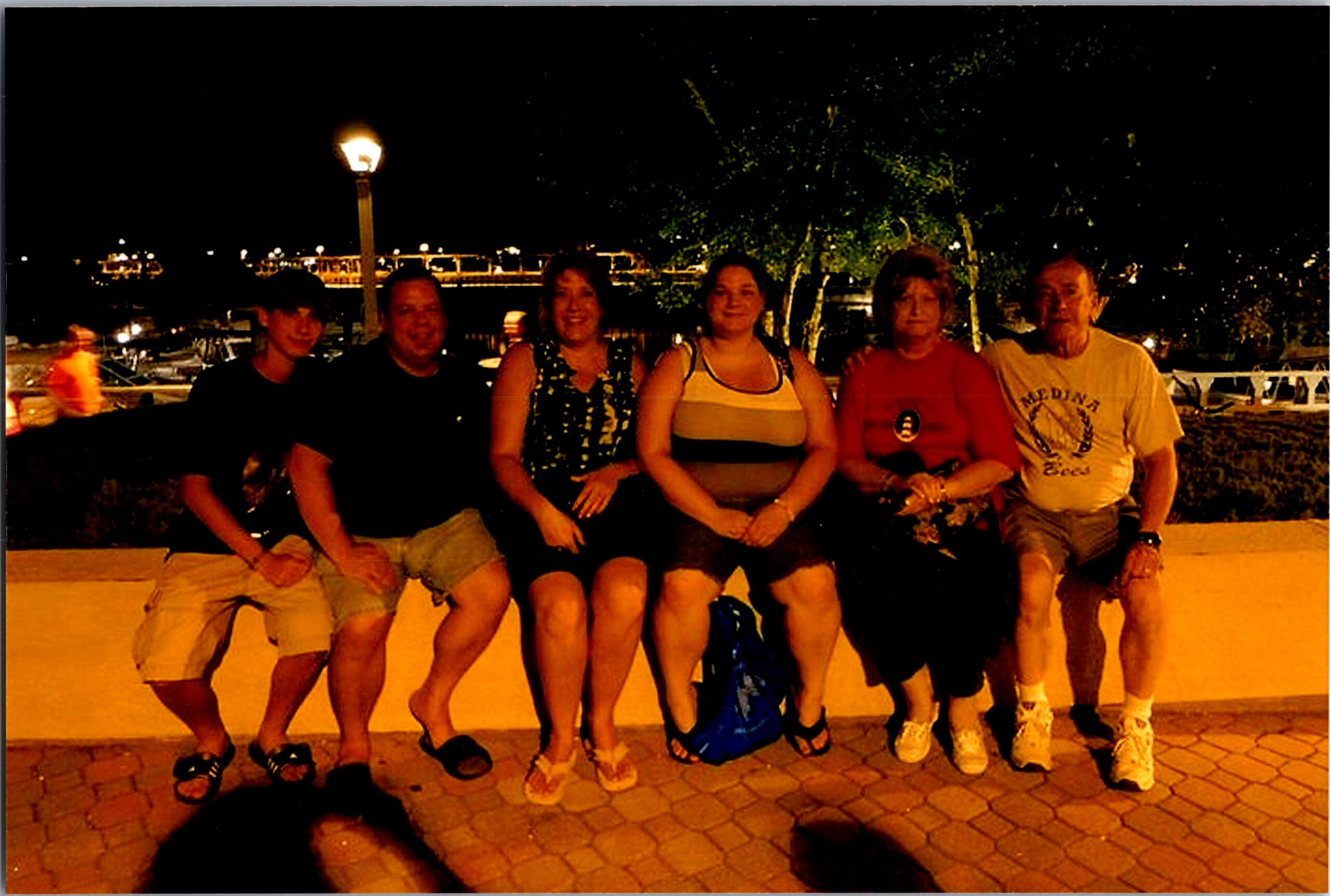 Seven adults sitting together on a low wall at night, smiling, with waterfront lights and trees in the background.