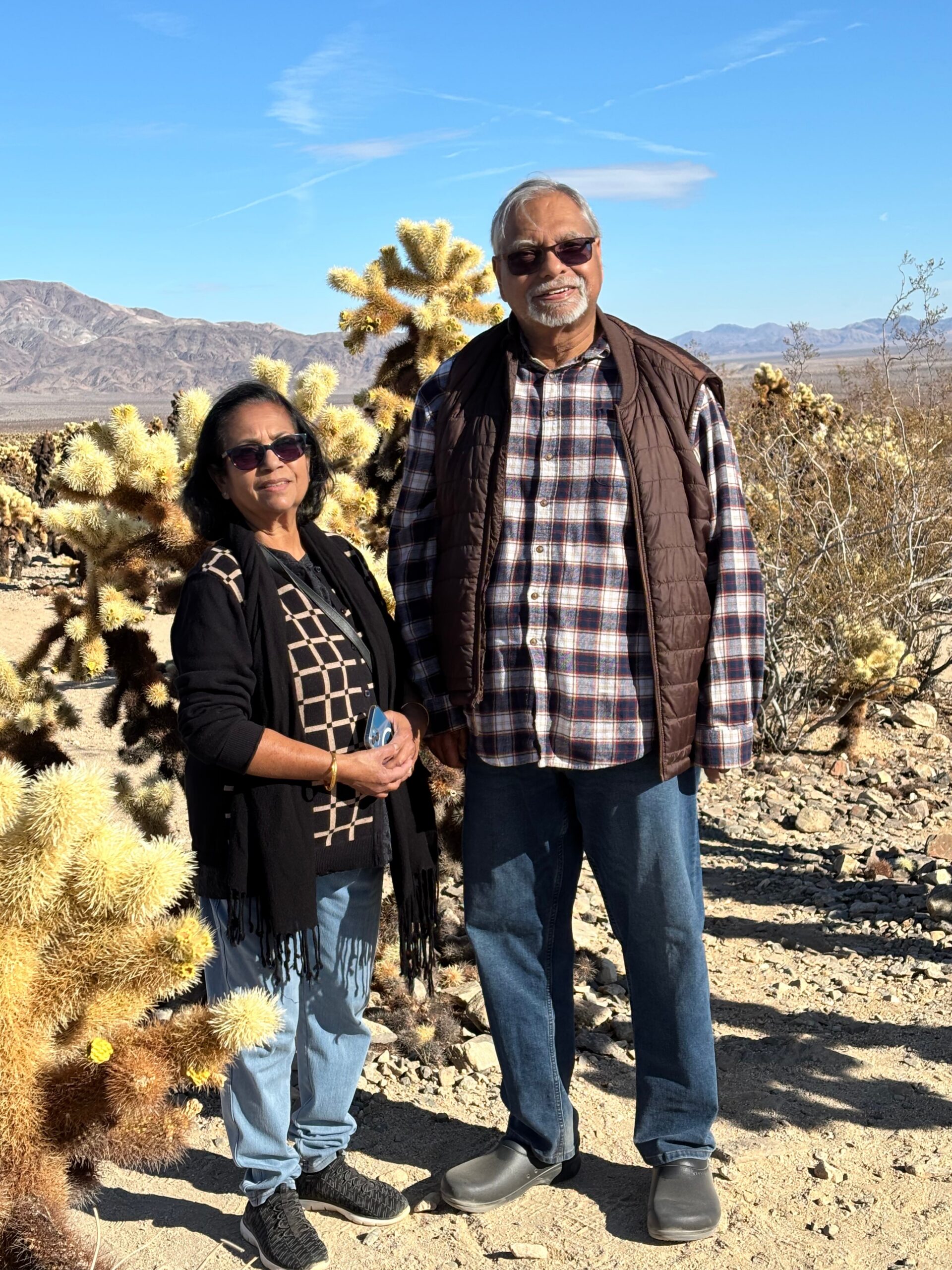 Two adults stand in a desert landscape with yellow prickly cacti behind them and distant mountains under a clear blue sky.