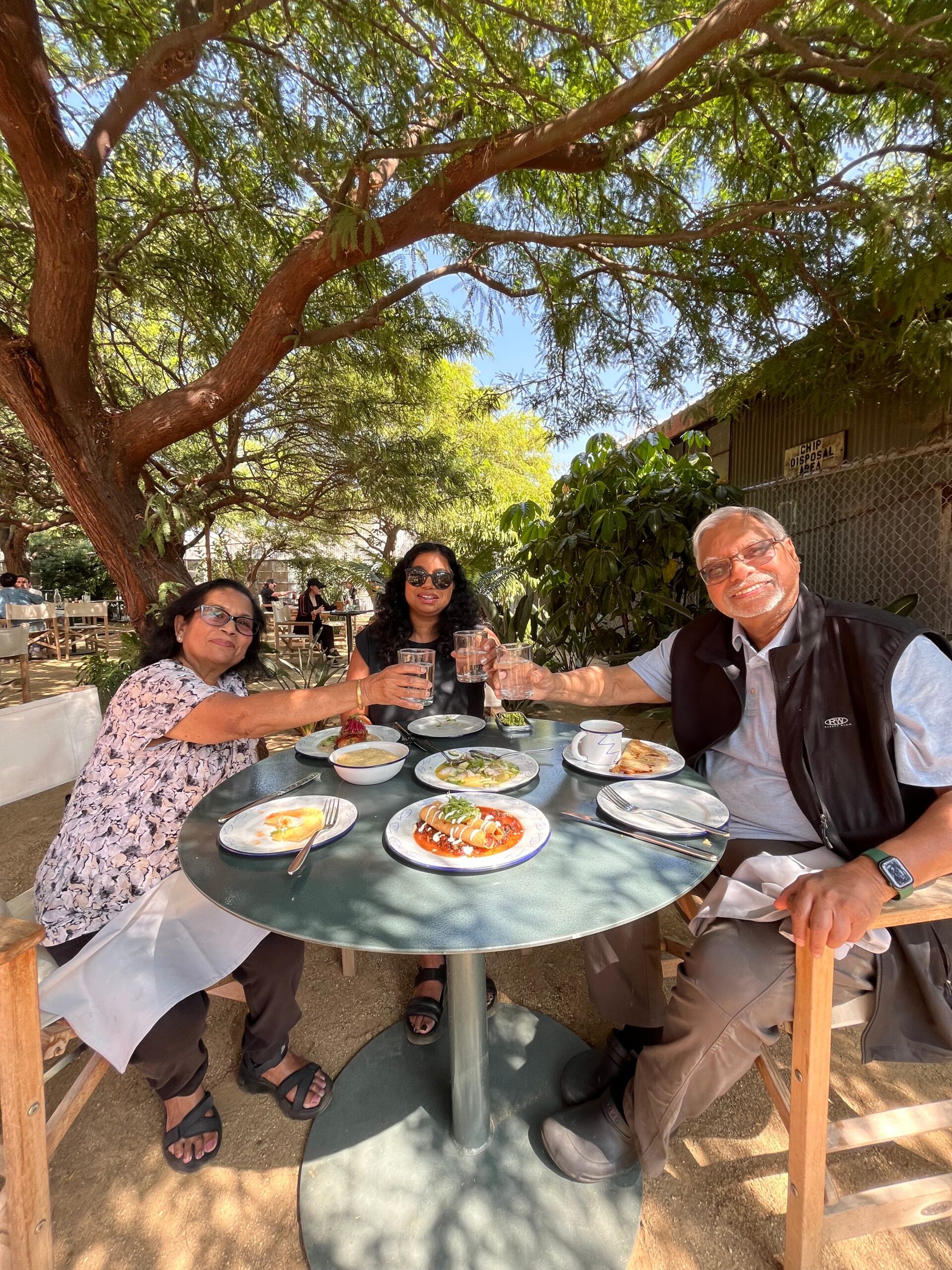 Group of three friends toasting with glasses at an outdoor cafe table under a large tree, with plates of food in view.