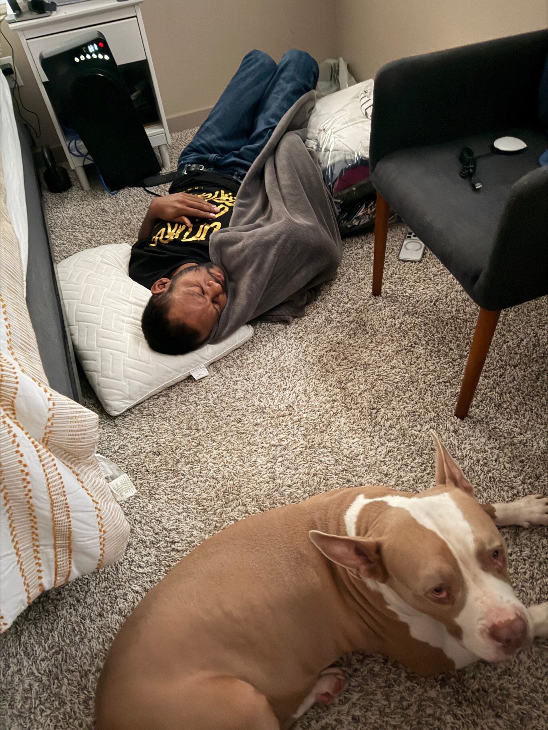 Man sleeping on a pillow on the carpet, covered by a gray blanket; a brown-and-white pit bull rests in the foreground.