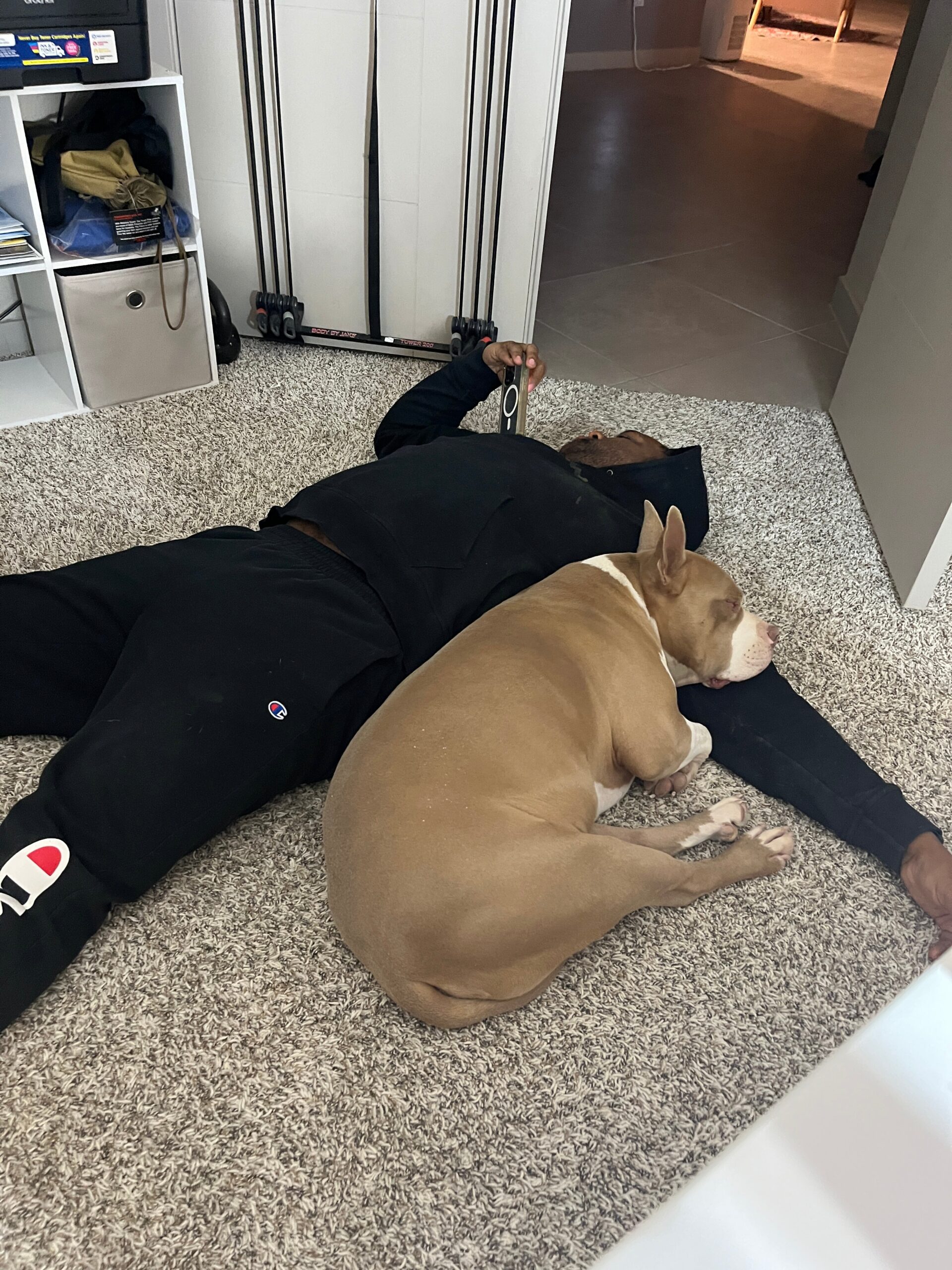 Man in black clothes lying on a gray carpet next to a sleeping brown and white pit bull; he holds a small rectangular device nearby.