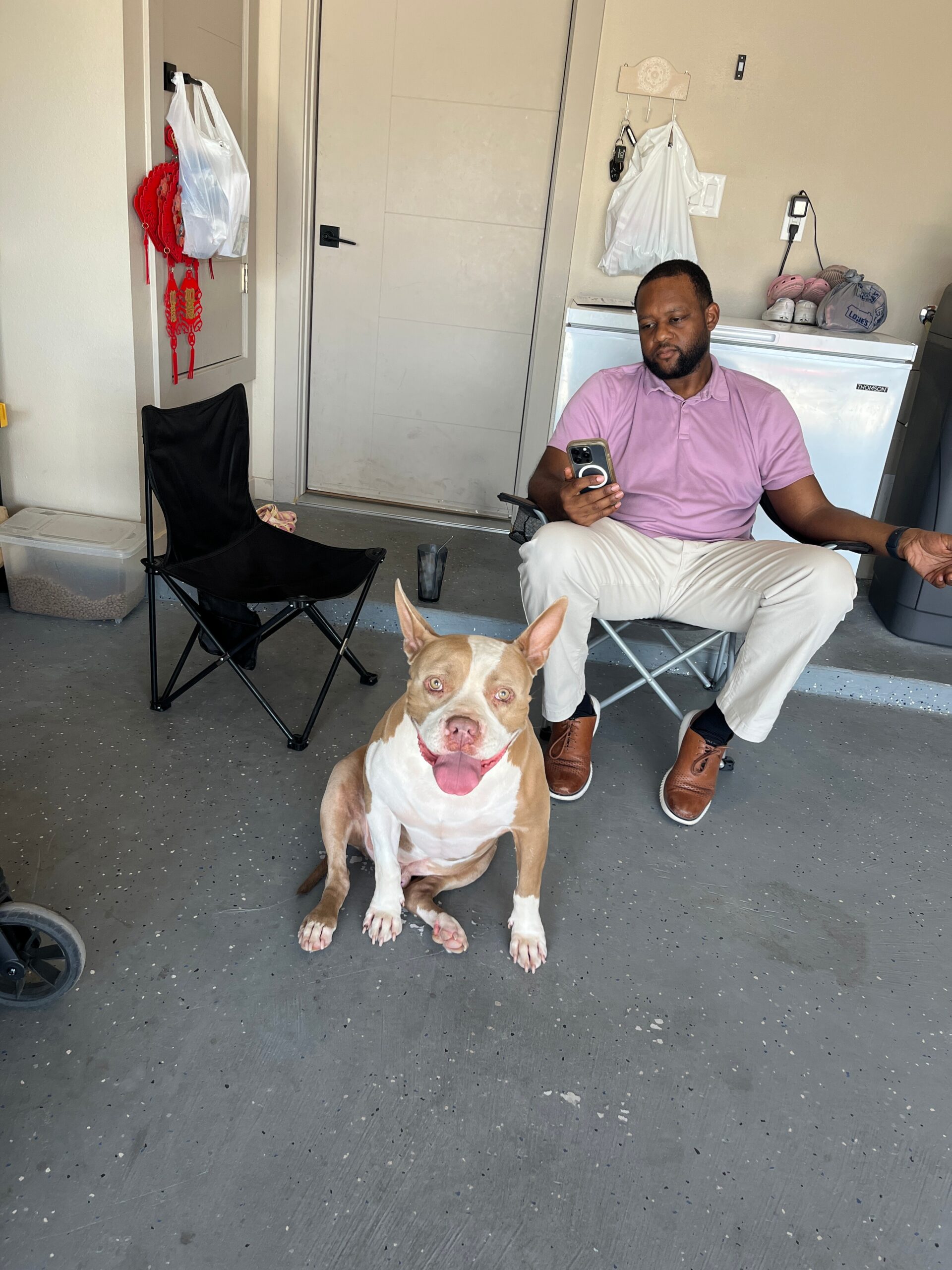 Man in a pink polo shirt sits in a garage chair, looking at his phone, with a tan and white dog sitting in front, facing the camera.