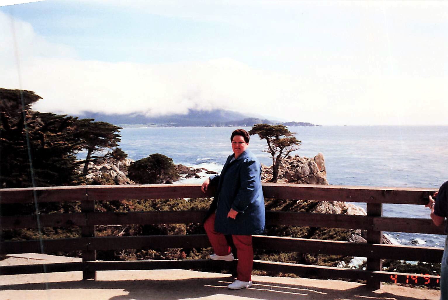 Person posing by a wooden railing at a coastal overlook, with the ocean, rocks, and wind-swept trees behind.