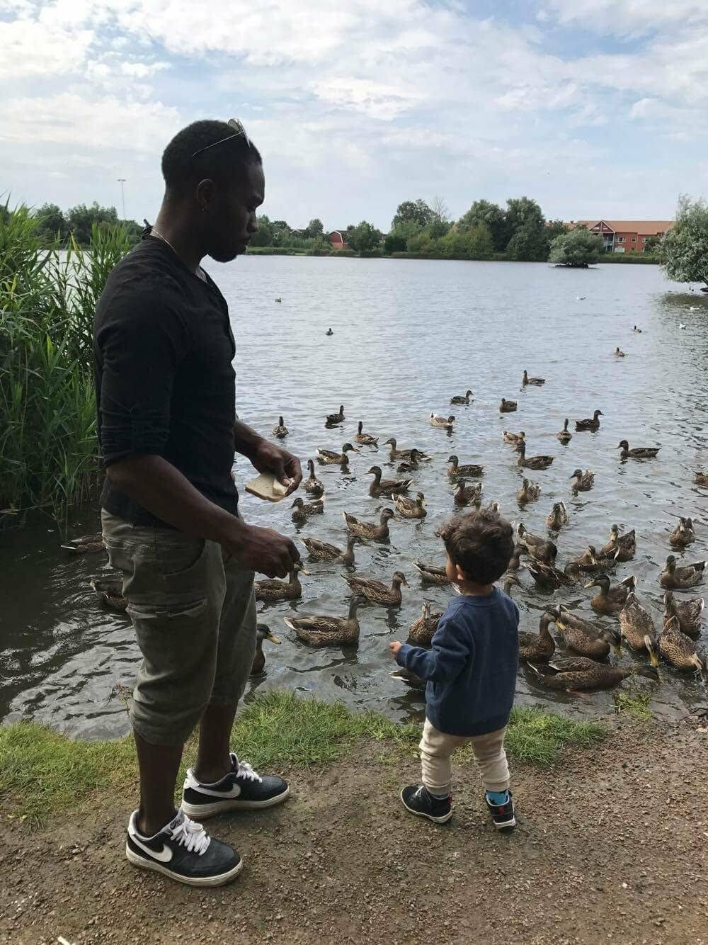 A man feeding ducks by a lake with a young child watching near the shore.