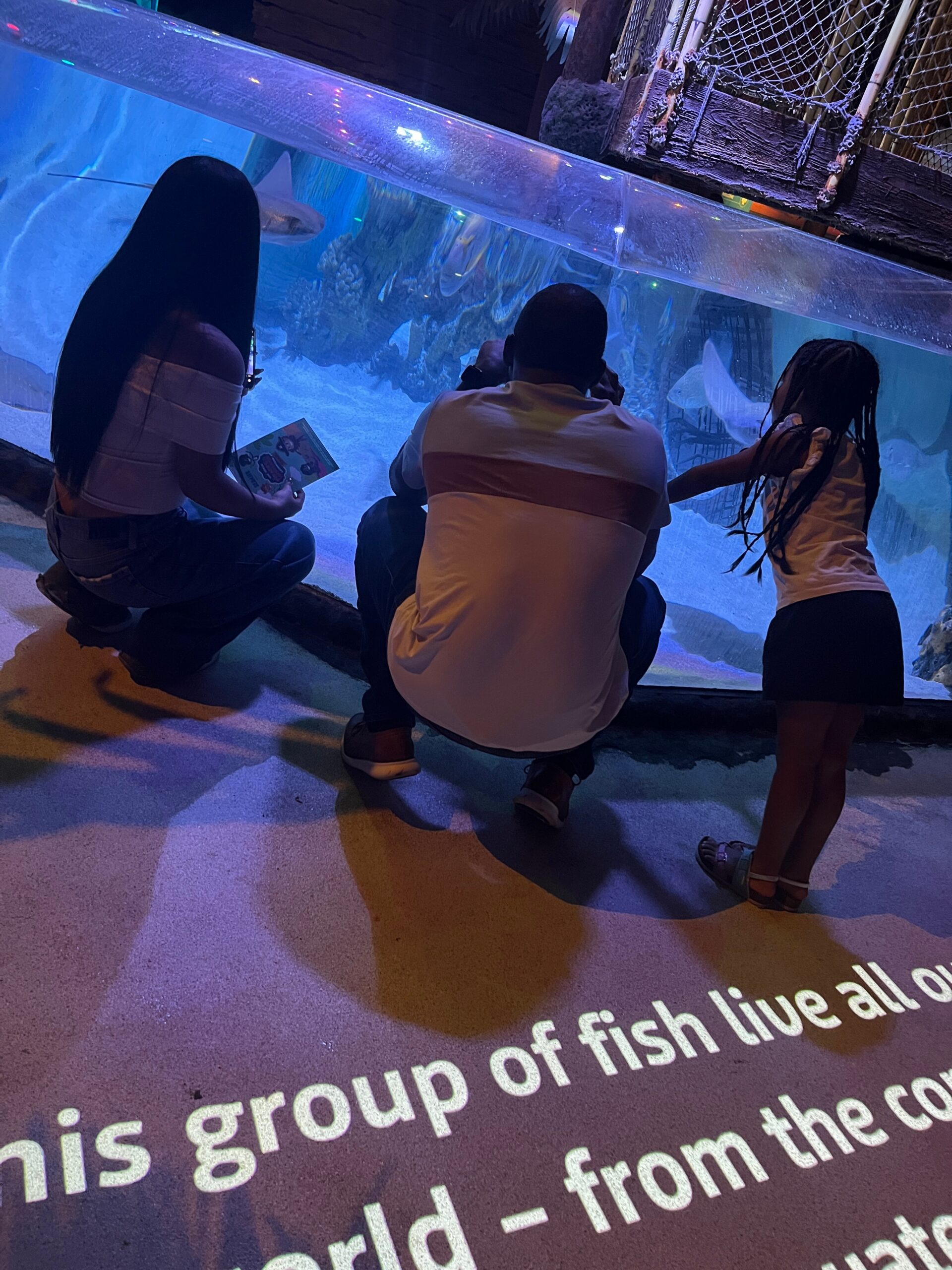 Three people crouch beside a large illuminated aquarium, one reading a booklet while a stingray swims inside the tank below