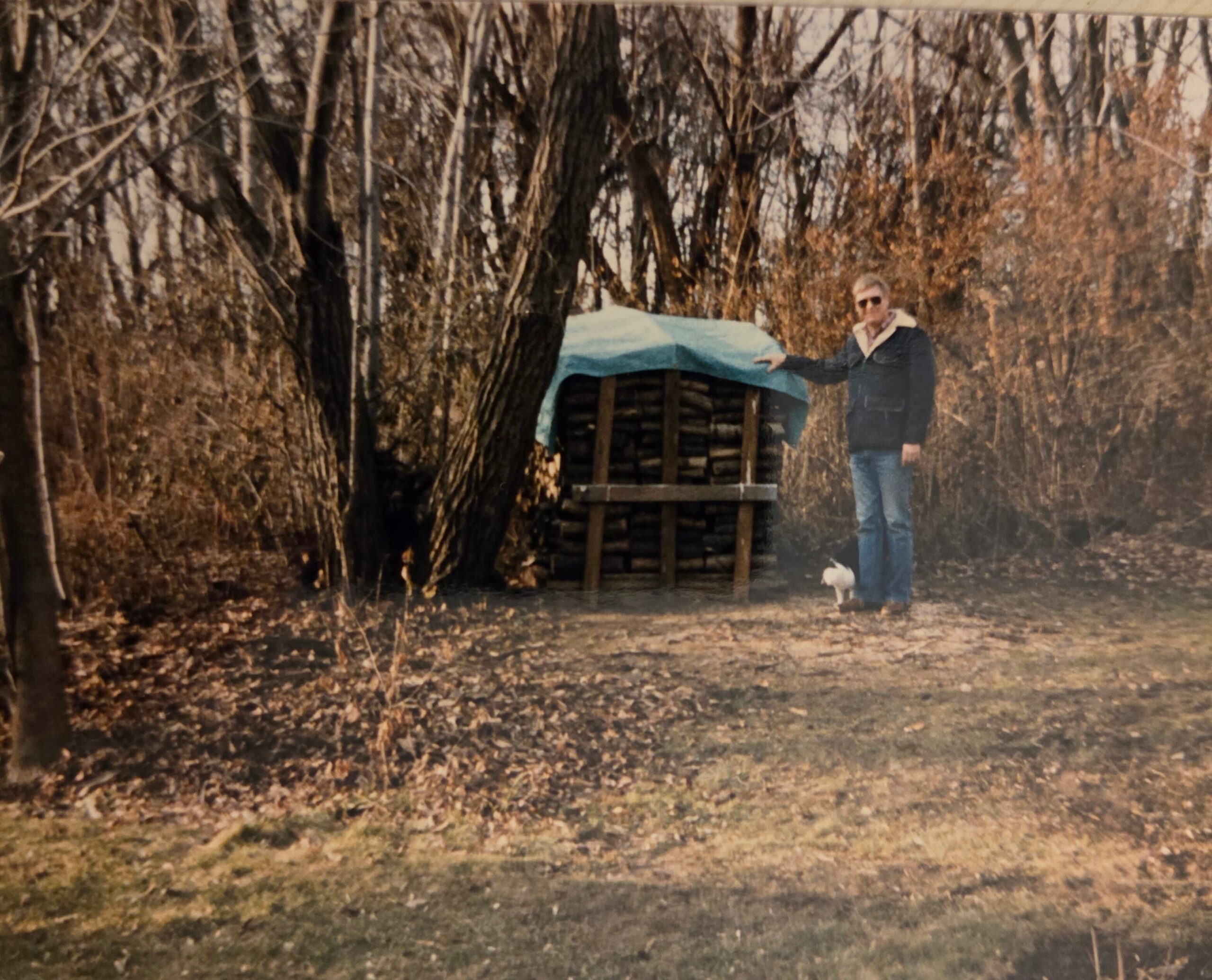 Man wearing sunglasses stands beside a small wooden shelter covered with a blue tarp in a leaf-filled autumn forest; a tiny white dog sits nearby.