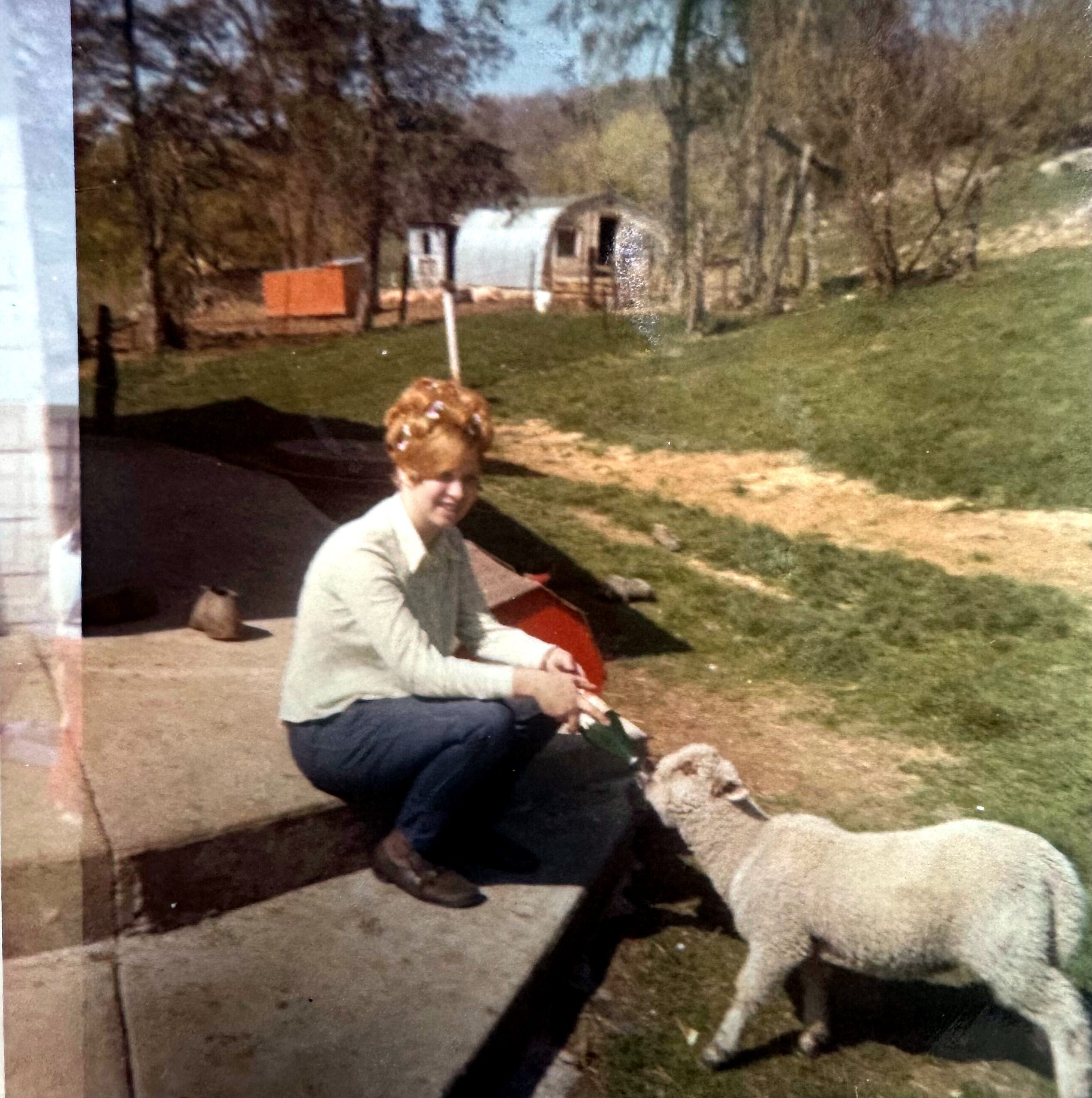 Woman kneeling on a patio with a small fluffy white dog in a grassy yard; a curved shed and trees in the background.