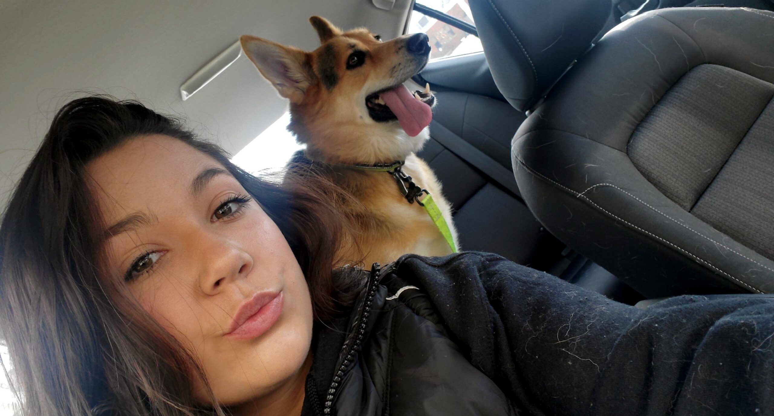 Close-up selfie of a woman in a car with a brown corgi sticking its tongue out beside her headrest.
