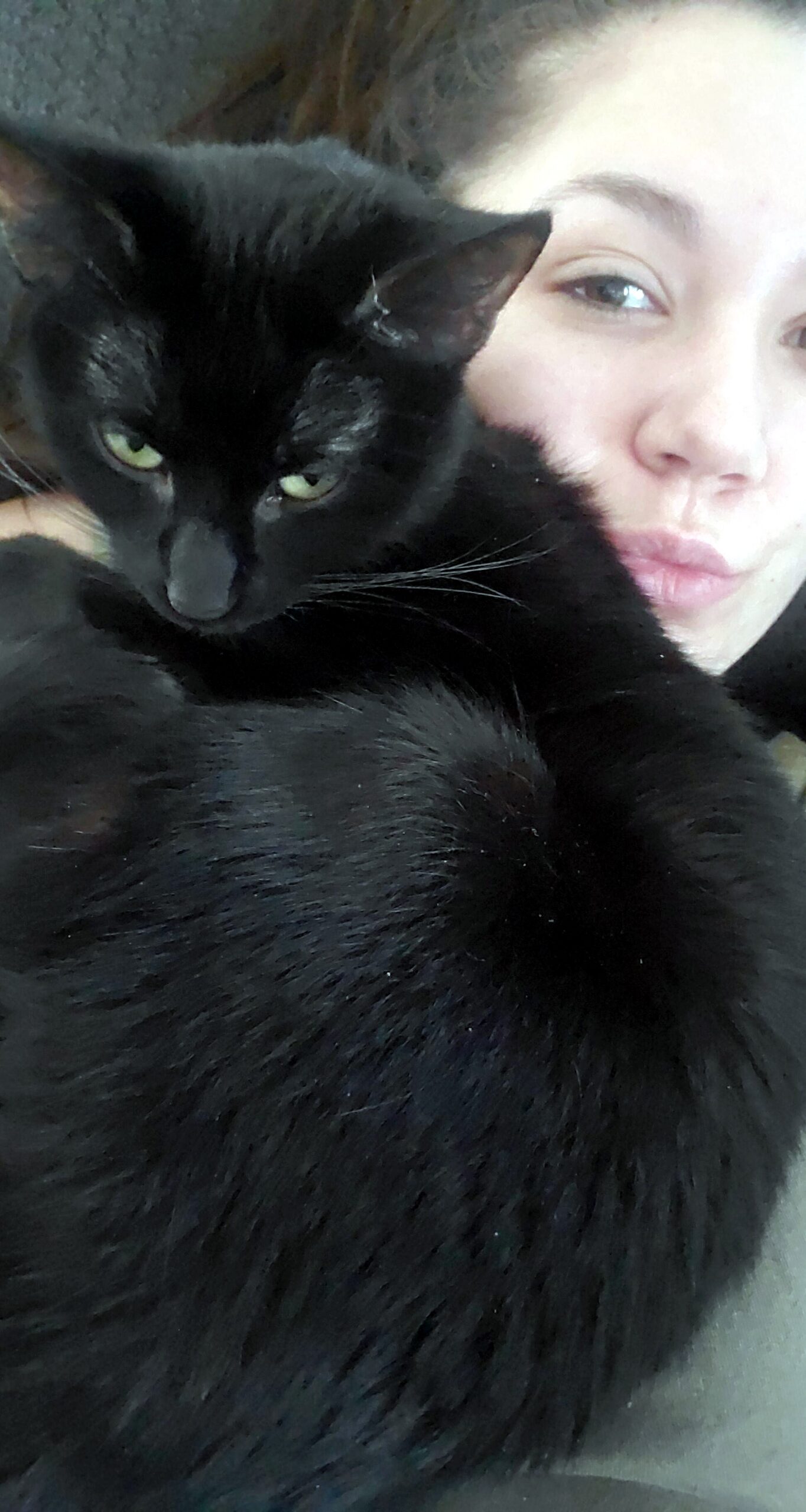 Close-up of a black cat snuggled against a person, with part of the person's face visible behind the cat's fur.