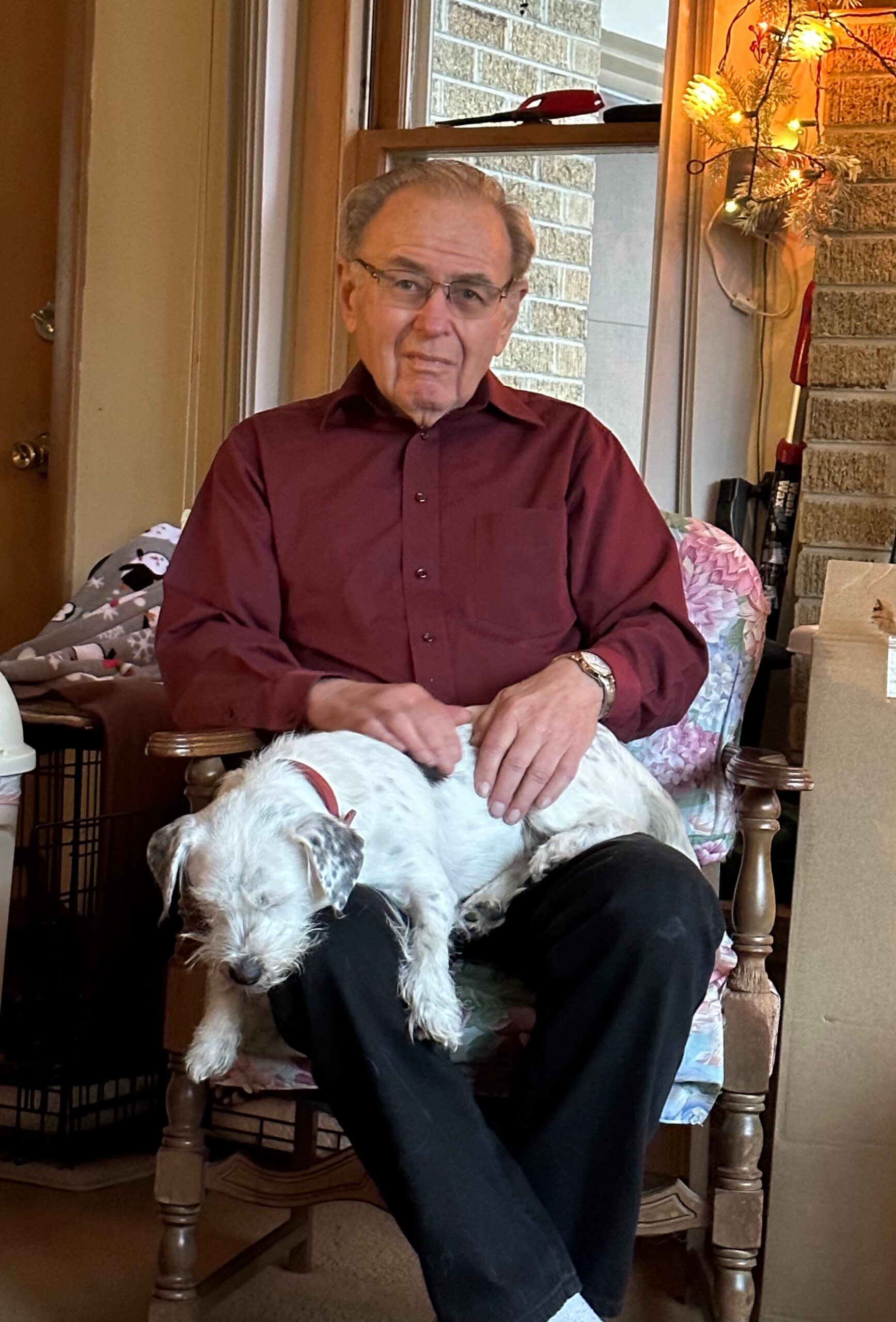 Older man in a maroon shirt sits in a chair with a white fluffy dog resting on his lap indoors.