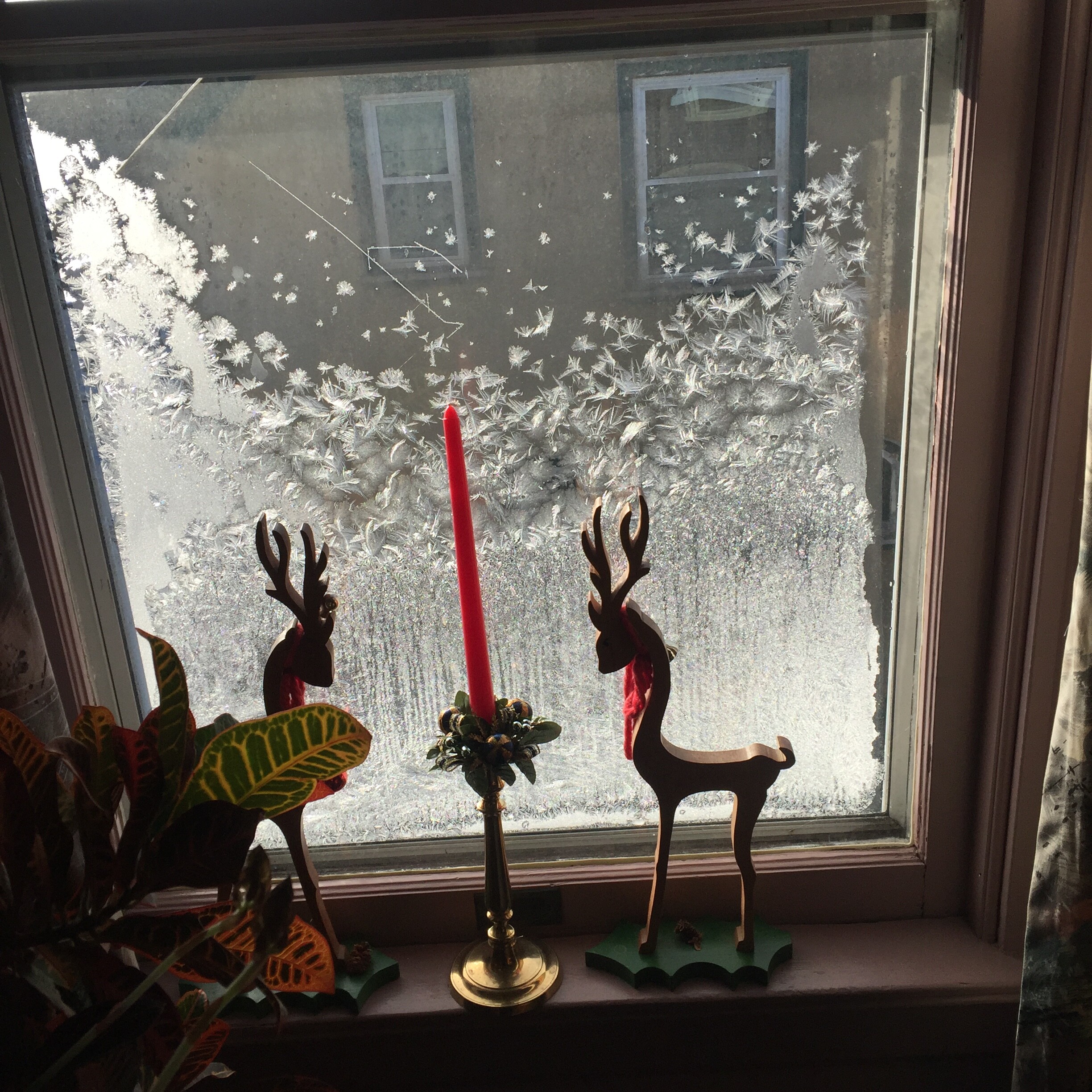 Frosty window with snowflake patterns, a red taper candle, and wooden reindeer silhouettes on the windowsill with potted plants nearby.