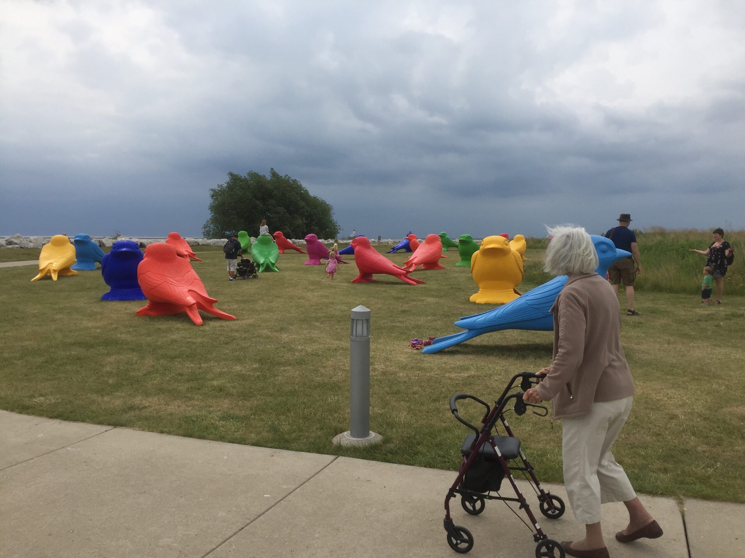 Colorful giant bird sculptures scattered on a grassy park under a cloudy sky with visitors walking by.