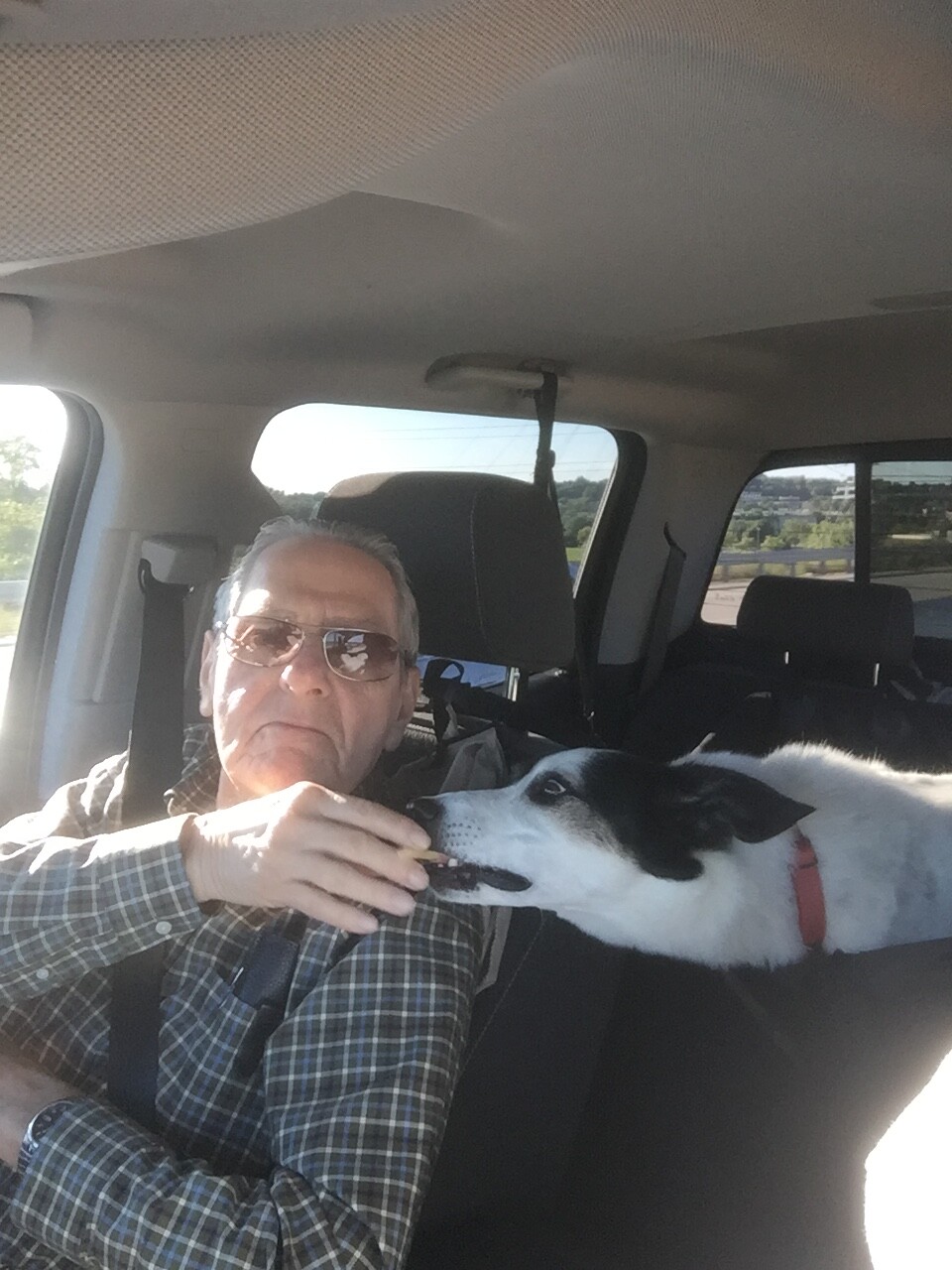 Older man wearing sunglasses sits in the front passenger area of a car, as a black-and-white dog with a red collar licks his hand.