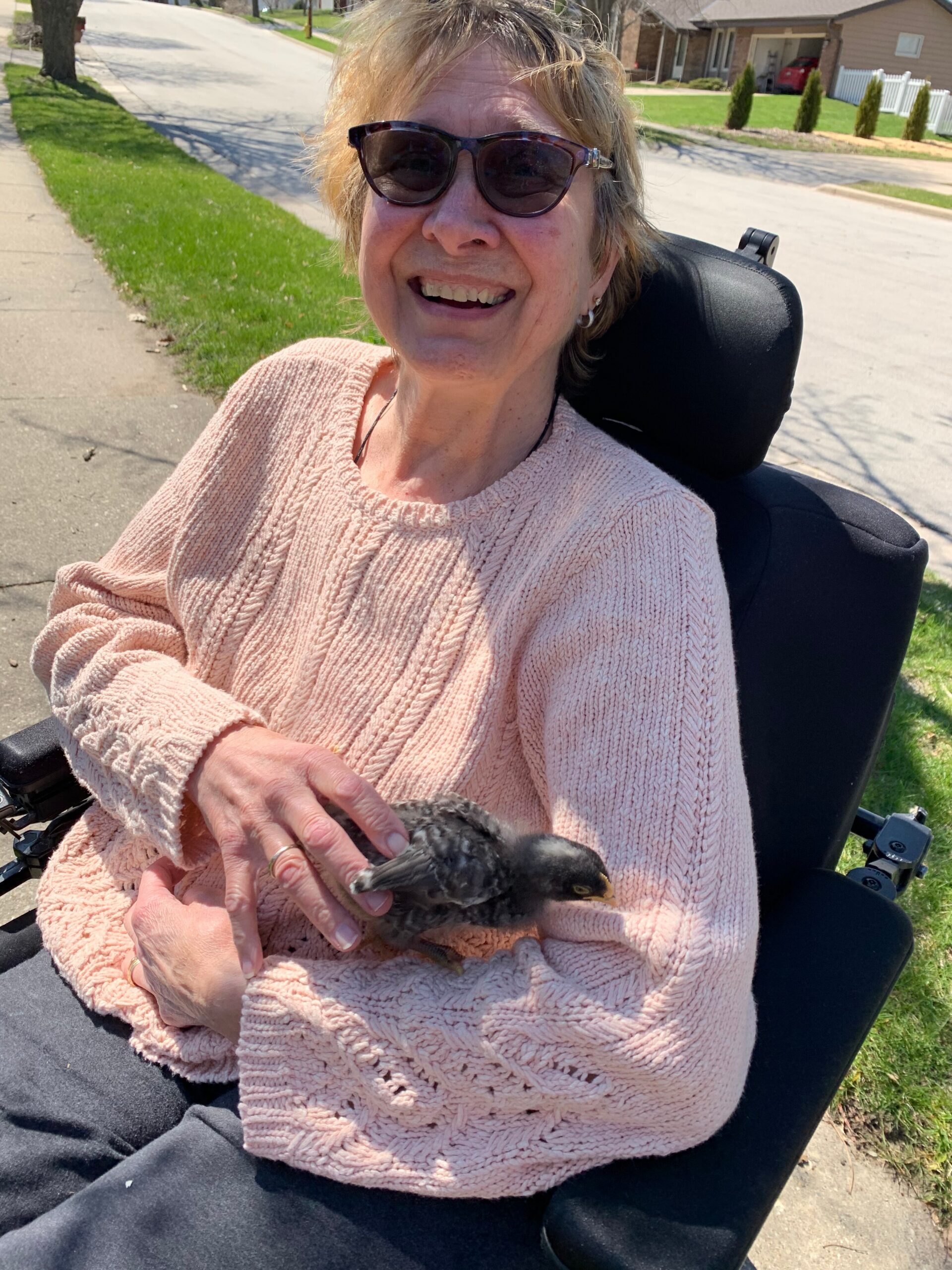 Smiling woman in a pink sweater seated in a wheelchair, gently holding a small dark bird on her lap outdoors on a sunny street.