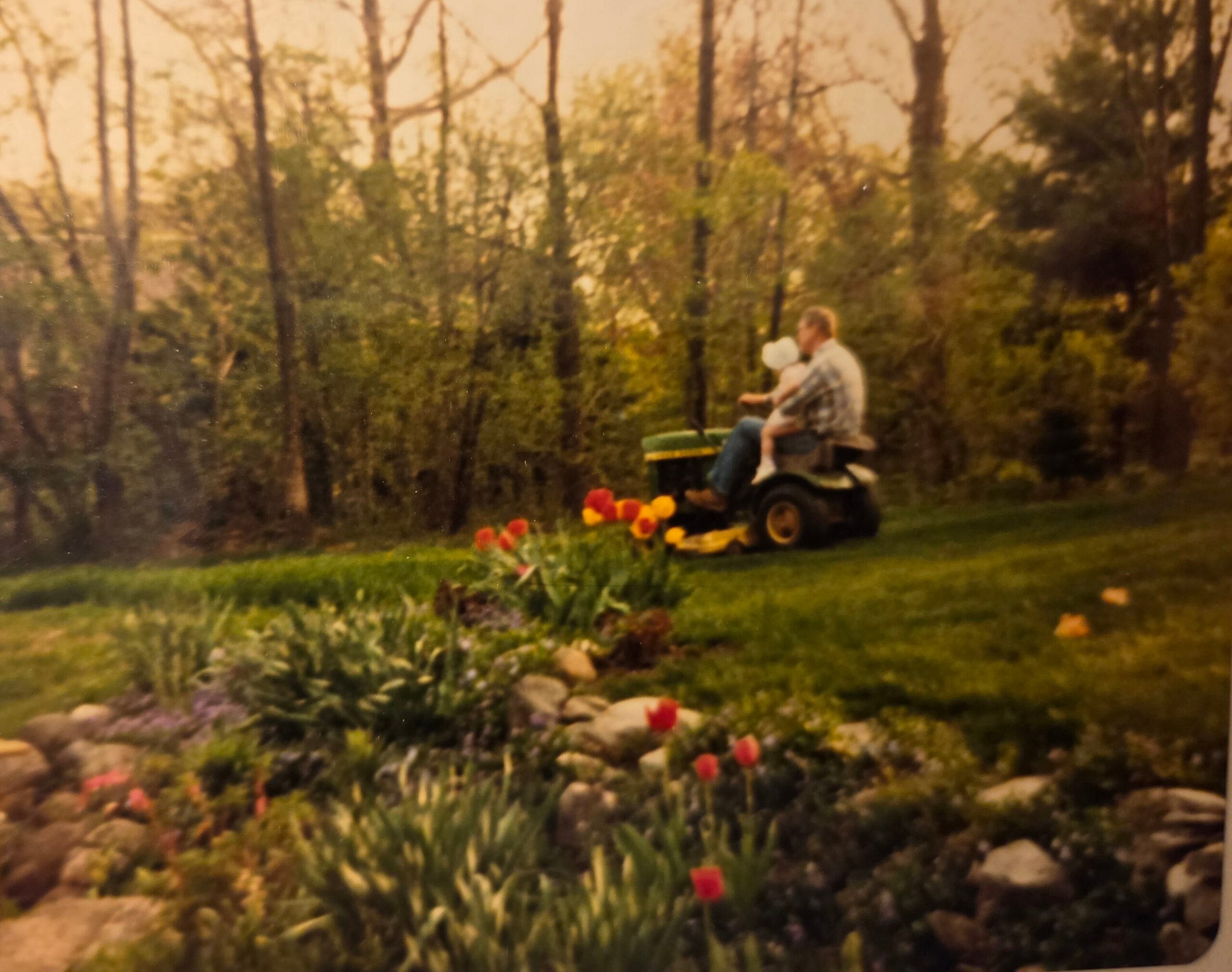 A man and a child sit on a small green lawn tractor in a garden with blooming tulips in the foreground and trees in the background.