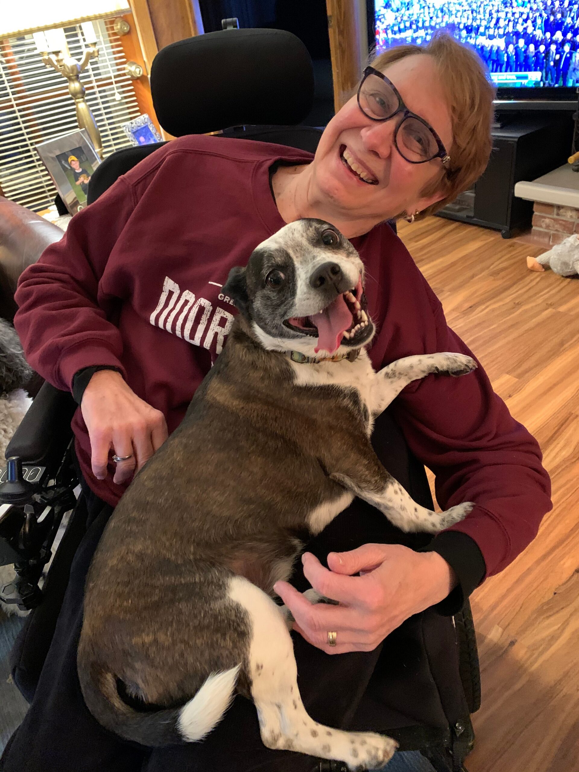 Smiling woman in a maroon sweatshirt wearing glasses sits in a wheelchair while a brindle and white dog cuddles against her, both looking joyful in a living room.