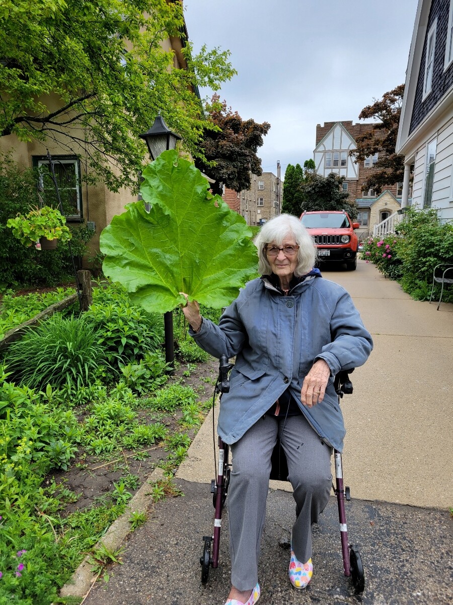 Elderly woman in a blue jacket sitting in a wheelchair on a sidewalk, holding a large green leaf with a leafy garden and houses in the background.