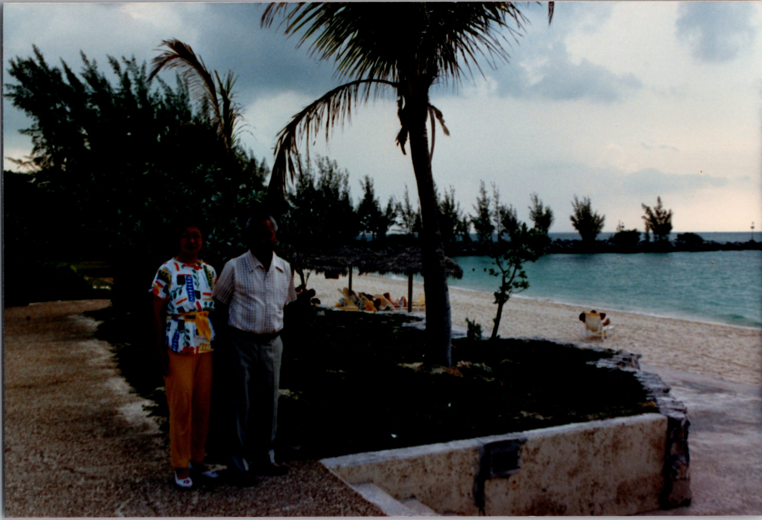 Two people stand on a sandy path by a tropical beach with palm trees and a dog on the shore in the background.